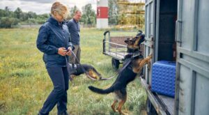 officers-with-dogs-checking-baggage-outdoors-at-ai-2025-03-09-01-19-07-utc